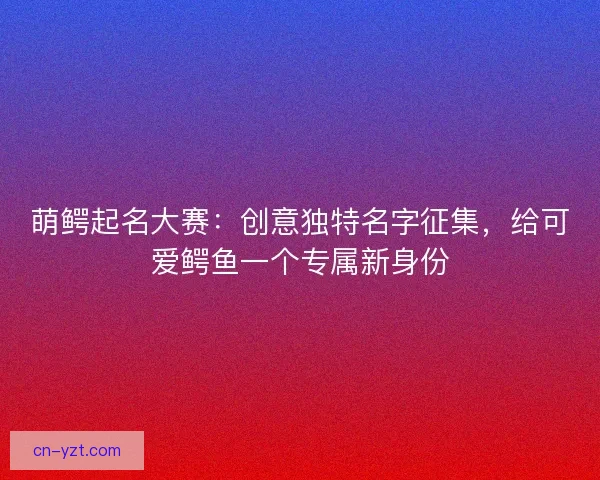 萌鳄起名大赛：创意独特名字征集，给可爱鳄鱼一个专属新身份