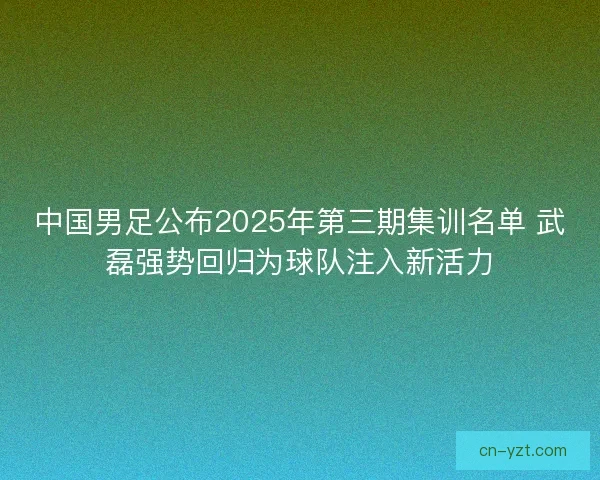 中国男足公布2025年第三期集训名单 武磊强势回归为球队注入新活力