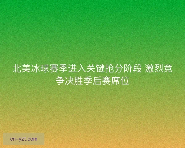 北美冰球赛季进入关键抢分阶段 激烈竞争决胜季后赛席位 北美冰球赛季进入关键抢分阶段 激烈竞争决胜季后赛席位